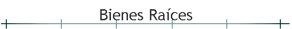 Bienes Ra�ces